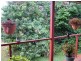 Bucca QLD 4670