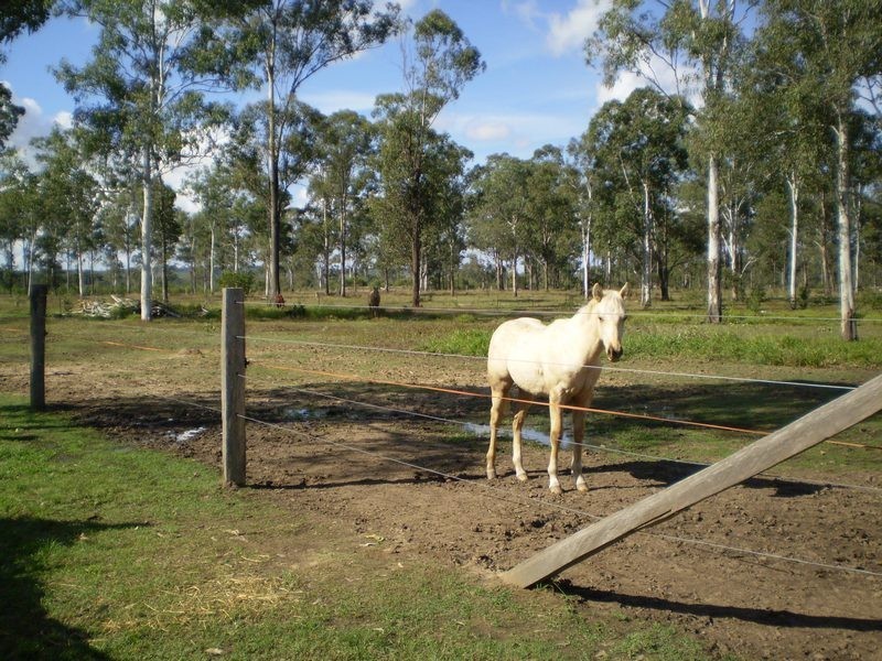 Gin Gin QLD 4671