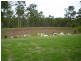 Bundaberg QLD 4670