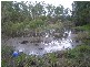 Bundaberg QLD 4670