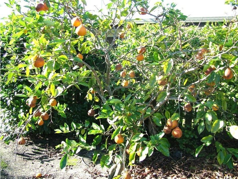 Burnett Heads QLD 4670