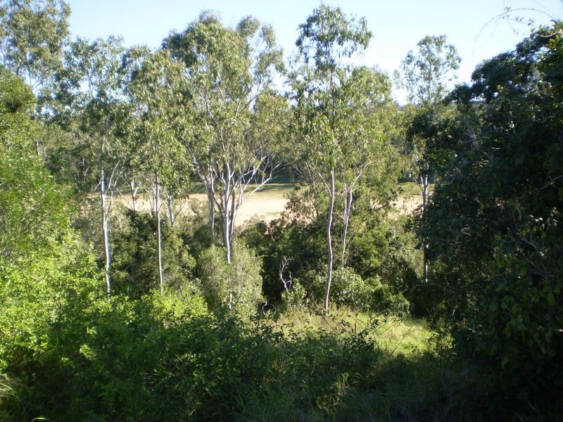 Pine Creek QLD 4670