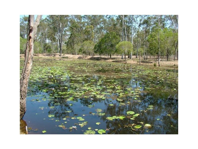 South Kolan QLD 4670