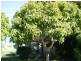 Wallaville QLD 4671
