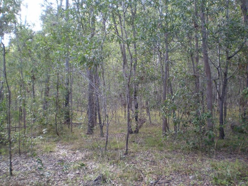 Delan QLD 4671