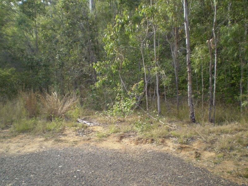 Delan QLD 4671