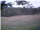 Gin Gin QLD 4671