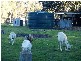 Bundaberg QLD 4670
