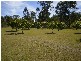 Delan QLD 4671