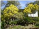 358 Wallaville-Goondoon Road, Bungadoo QLD 4671
