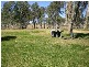 Gin Gin QLD 4671