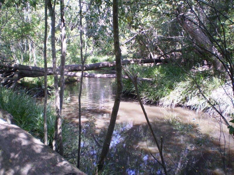 Bundaberg QLD 4670