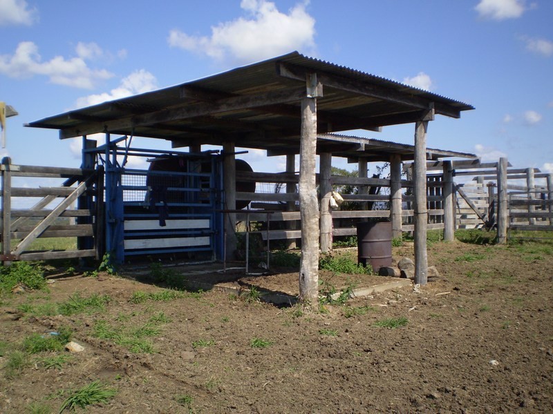 Berajondo QLD 4674
