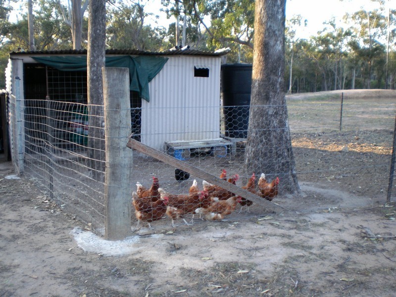 Bundaberg QLD 4670