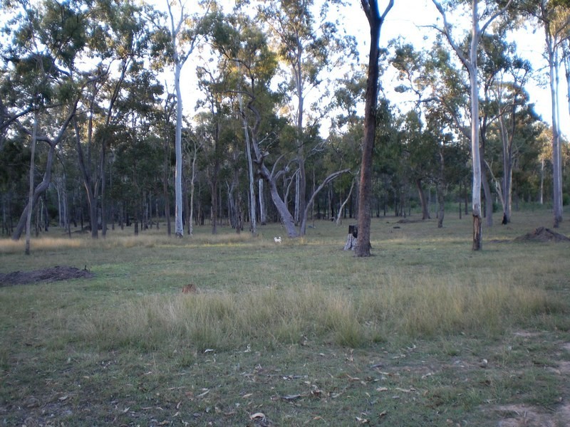Bundaberg QLD 4670