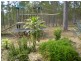 Delan QLD 4671