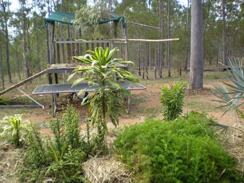Delan QLD 4671