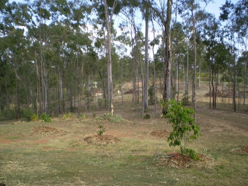Delan QLD 4671
