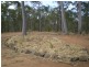 Delan QLD 4671
