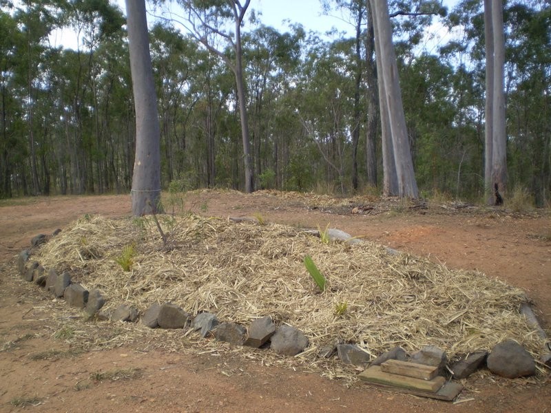 Delan QLD 4671