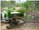 Bundaberg QLD 4670