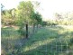 South Kolan QLD 4670