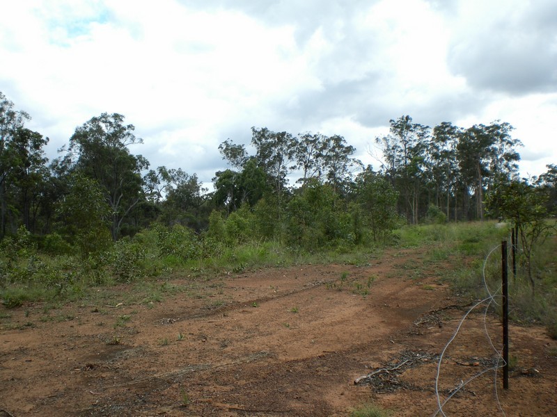 South Kolan QLD 4670