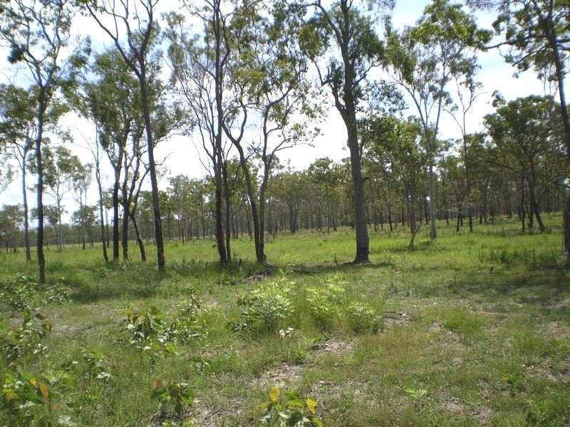 South Kolan QLD 4670
