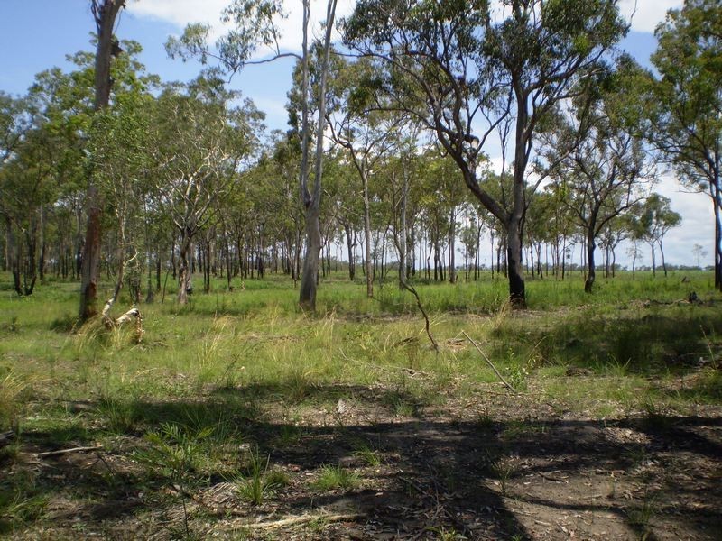 South Kolan QLD 4670