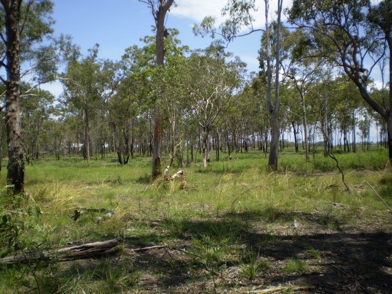 South Kolan QLD 4670