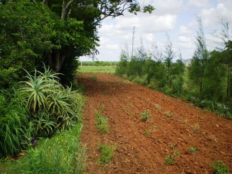 Bundaberg QLD 4670