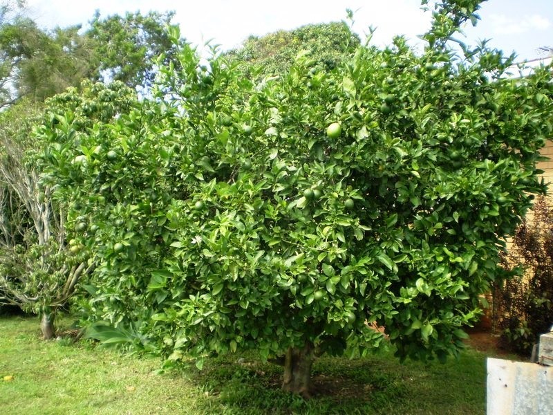 Bundaberg QLD 4670