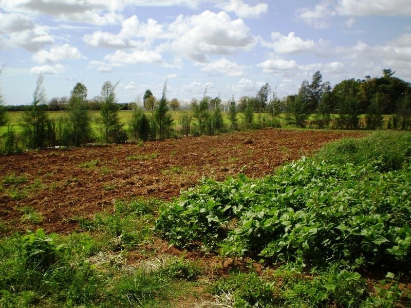 Bundaberg QLD 4670