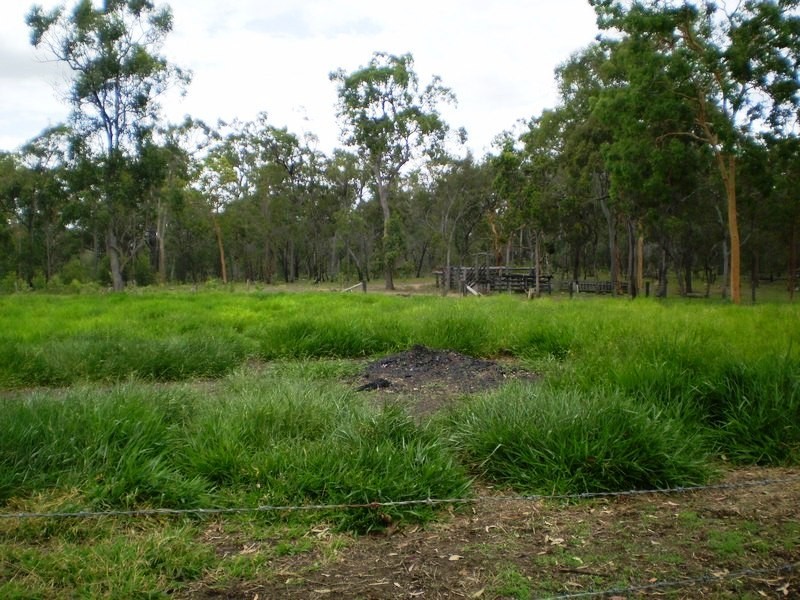 South Kolan QLD 4670