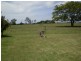 Wallaville QLD 4671