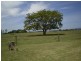 Wallaville QLD 4671