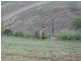 Gin Gin QLD 4671