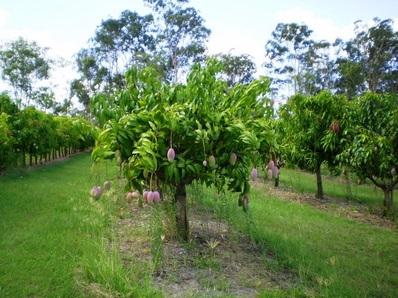 Gin Gin QLD 4671