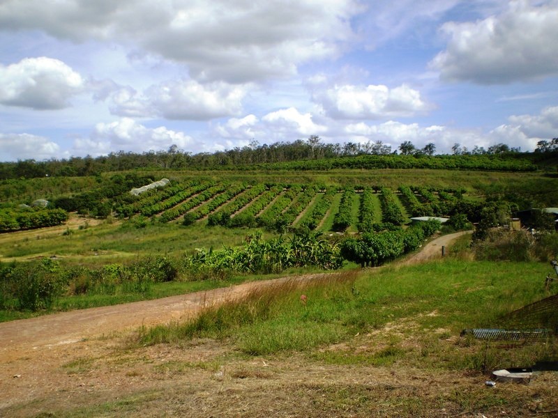 Gin Gin QLD 4671