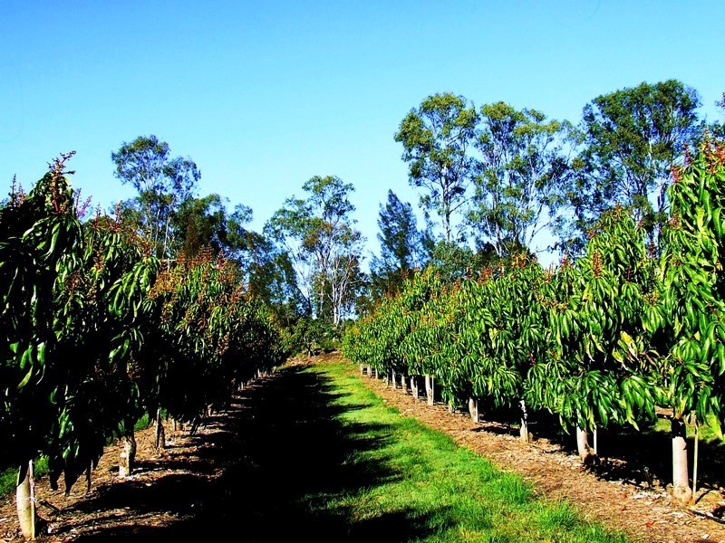 Gin Gin QLD 4671