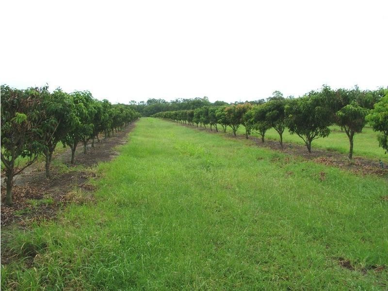 Welcome Creek QLD 4670