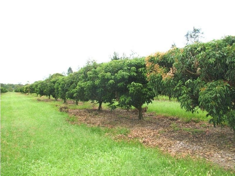 Welcome Creek QLD 4670