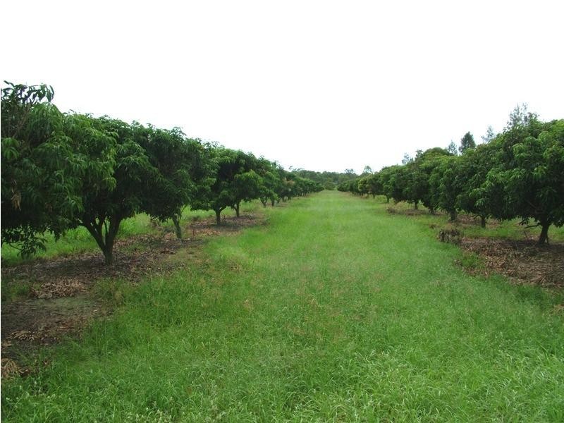 Welcome Creek QLD 4670