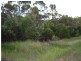South Kolan QLD 4670