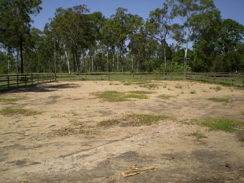 Sharon QLD 4670