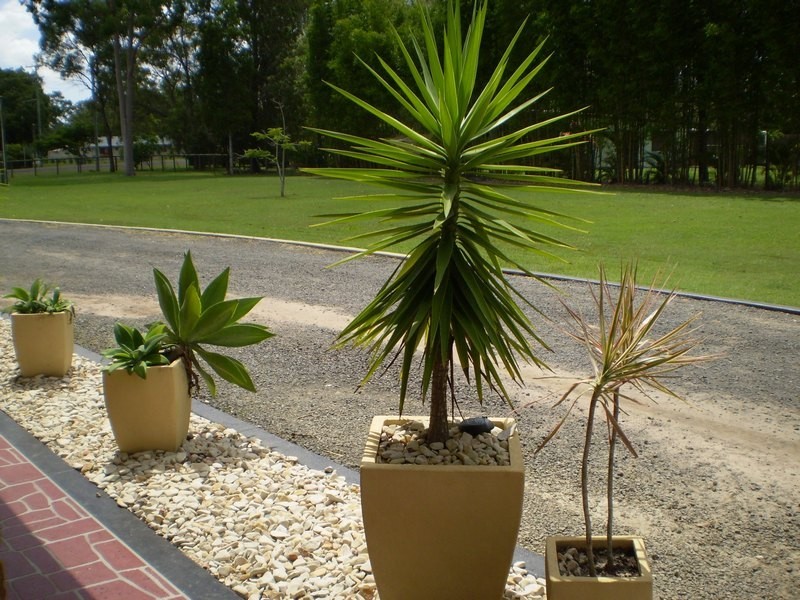 Sharon QLD 4670