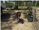 Sharon QLD 4670
