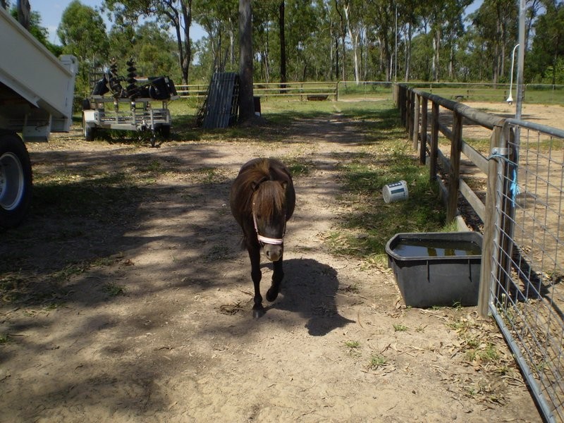 Sharon QLD 4670