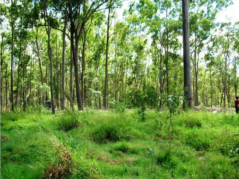 Bucca QLD 4670