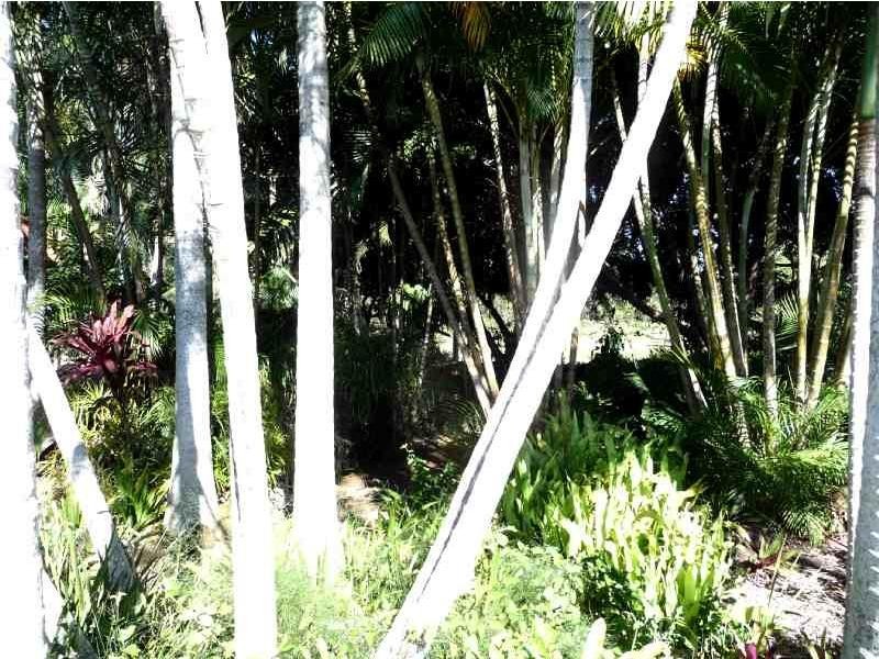 Bundaberg East QLD 4670